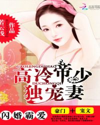 闪婚霸爱：高冷帝少独宠妻