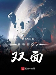 吞噬星空之双面